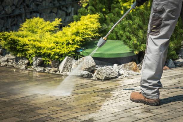 Best Dumpster Area Cleaning  in Canyon Day, AZ